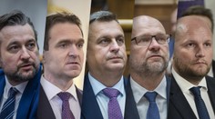 Eurovoľby budú festivalom známych mien: Favoriti sú jasní, pohorieť môžu až dve parlamentné strany