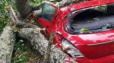 Slovensko zasiahne jedna z najsilnejších víchric.  Ostaňte doma, odporúča SHMÚ