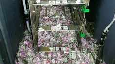 Keď otvorili bankomat, neverili vlastným očiam. Potkany zožrali tisícky rupií