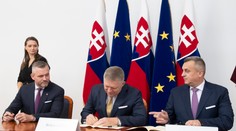 Už viac ako tri mesiace nemáme šéfa parlamentu. Je to hanba, koalícia vládne v provizóriu, odkazuje politológ