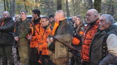 Do lesoparku nesmela ani noha: V lokalite s premnoženými diviakmi zorganizovali mimoriadnu poľovačku