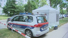 V Rakúsku našli udusené 13-ročné dievča. Z činu sú podozriví dvaja mladí Afganci