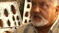 Pred 25 rokmi si priniesol z Tatier chrobáka. Potom prišiel šok