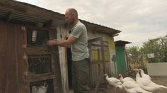 Rodina Felixovcov žije na farme obklopená prírodou. Odvahu im dodala dcéra so zdravotným postihnutím