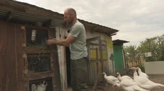 Rodina Felixovcov žije na farme obklopená prírodou. Odvahu im dodala dcéra so zdravotným postihnutím