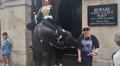 VIDEO: Kôň kráľovskej gardy uhryzol turistku, po chvíli sa zložila k zemi