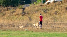 Zázrak v Texase: Po 8 rokoch našli nezvestného chlapca, ktorý sa po prechádzke so psom nevrátil domov