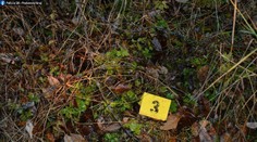 Motorkár sa v lese pri Lendaku zachytil o ostnatý drôt, niekto ho nastražil ako pascu