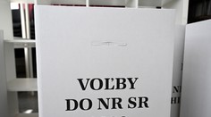 Volebný manuál: Ako voliť, aby váš hlas neprepadol? O krúžkovaní koluje jeden mýtus
