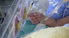 Bábätkám s chorým srdiečkom v nemocniciach pomáhajú chobotnice