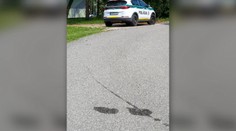 Policajti zrazili psa a pokračovali v jazde. Neskôr tvrdili, že si  ho pomýlili s kameňom