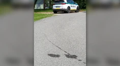 Policajti zrazili psa a pokračovali v jazde. Neskôr tvrdili, že si  ho pomýlili s kameňom