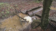 Situácia je vážna a únik PCB látok mali čo najskôr zastaviť. Ani po mesiacoch sa nič nezmenilo