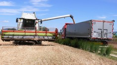 Zásobovať múkou sa nemusíte. Obilia máme dosť, bude však drahšie