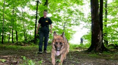 V americkom meste zmizlo za dva týždne takmer 30 detí. Polícia sa obáva, že ide o obchod s ľuďmi