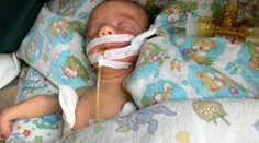 Strastiplná cesta za dcérou: Rodičia sa pre vojnu nevedeli dostať k dcére, tú porodila dva dni pred vojnou náhradná mama