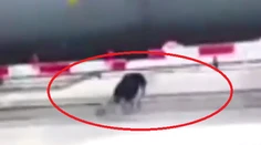 Toto nikdy nerobte! Šialenec podliezal idúci vlak