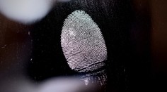 Triky kriminalistiky: Viete, kedy vznikajú naše odtlačky prstov?