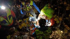 Medveď napadol bežca v Malej Fatre. Šelma mu pri opakovaných útokoch pohrýzla celé telo