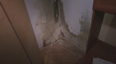 Vlhkosť ako v teráriu. Obyvatelia bytovky sa pre plesnivé steny roky naťahujú so staviteľom