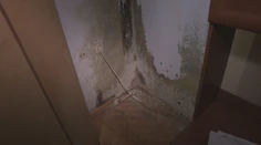 Vlhkosť ako v teráriu. Obyvatelia bytovky sa pre plesnivé steny roky naťahujú so staviteľom