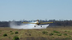 Mužovi vystrelili oko pri proteste proti postrekovaniu sójových polí