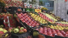 Ovocinári sa trápia pre vyššie účty. Hrozí, že jablká zhnijú na stromoch