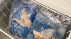 Veterinári našli v brazílskom mäse ďalší tip salmonely! Tentoraz v Prievidzi