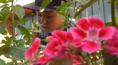 Nádherný záhon kvetov v Banskej Bystrici vytvoril iba deväťročný chlapec