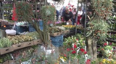 V Trenčíne otvorili Záhradkársky veľtrh. Vystavujúcich sme sa pýtali, o ktoré rastliny je najväčší záujem
