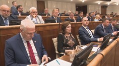 Novelu zákona o mimovládkach posunuli do druhého čítania. Opozícia uvažuje nad podaním na Ústavný súd