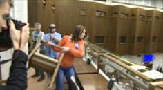 Minulosť ju dobehla. Aktivistka musí zaplatiť za zničené sklo v parlamente
