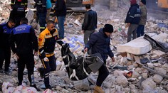 Spod trosiek sa ozýva zúfalé volanie o pomoc. Nikto však neprichádza