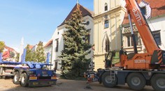 V Bratislave už stojí vianočný stromček. Vieme, kedy ho rozsvietia