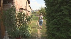 Celý život žila na spoločnom dvore. Dnes ju majú obkolesiť múry