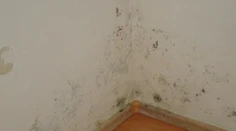 Hanbia sa Slováci za svoje byty? Pozrite si video