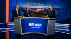 K. Hirman v Na telo: Sulíkov systém na stropovanie elektriny neprevezmem