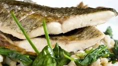 RECEPT NA DNES: Zubáč so špenátom a haluškami