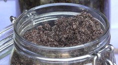 Jeho blahodárne účinky sú známe už tisícky rokov. V Bešeňovej sa konali majstrovstvá peelingu