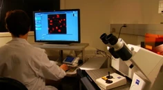 Rakovinu dokážu určiť ďaleko predtým, ako začne nádor rásť