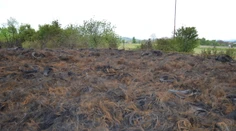 Podpálil 300 ton pneumatík a spôsobil desaťtisícové škody: Len preto, aby sa mohol pozerať
