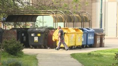 Najväčšie slovenské sídlisko sa borí s vážnym problémom. Petržalku zaplavili premnožené potkany