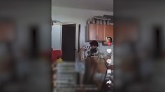 Zásadný posun v prípade matky zo Šale, ktorá svojim deťom vulgárne nadávala a vyhrážala sa smrťou