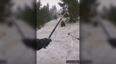 Zásahový tím usmrtil medvedicu v Nízkych Tatrách, rozsudok smrti jej podpísali nezodpovední turisti