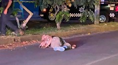 Záber, ktorý dojme každého. Verný pitbul sa nepohol od svojho mŕtveho pána