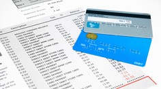 Vládny účet za euro využíva len 73 občanov