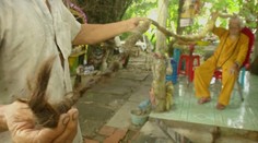 Vietnamec sa naposledy ostrihal pred 80 rokmi. Verí, že keď o päťmetrový dred príde, zomrie