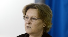 Hovorila o porušovaní ľudských práv u nás. Takto to zaujímalo poslancov