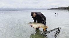Na Zemplíne sa začala jedna z najväčších rybárskych súťaží v Európe. Kapry lovia desiatky družstiev