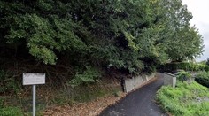 Talianka sedela mŕtva za stolom dva roky. Bolestivý prípad vyvolal diskusiu o opatrovaní seniorov